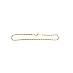Mini Curb Chain Anklet (Gold)