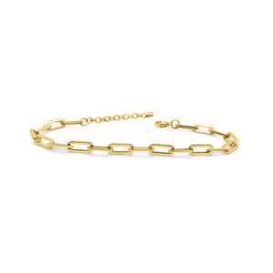 Paperclip Chain Anklet